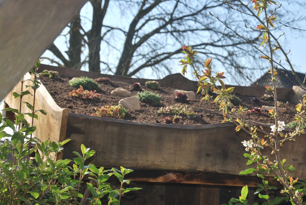 Dach des Insektenhotels mit Erde und kleinen Pflanzen, umgeben von Bäumen und blühenden Zweigen im Vordergrund.
