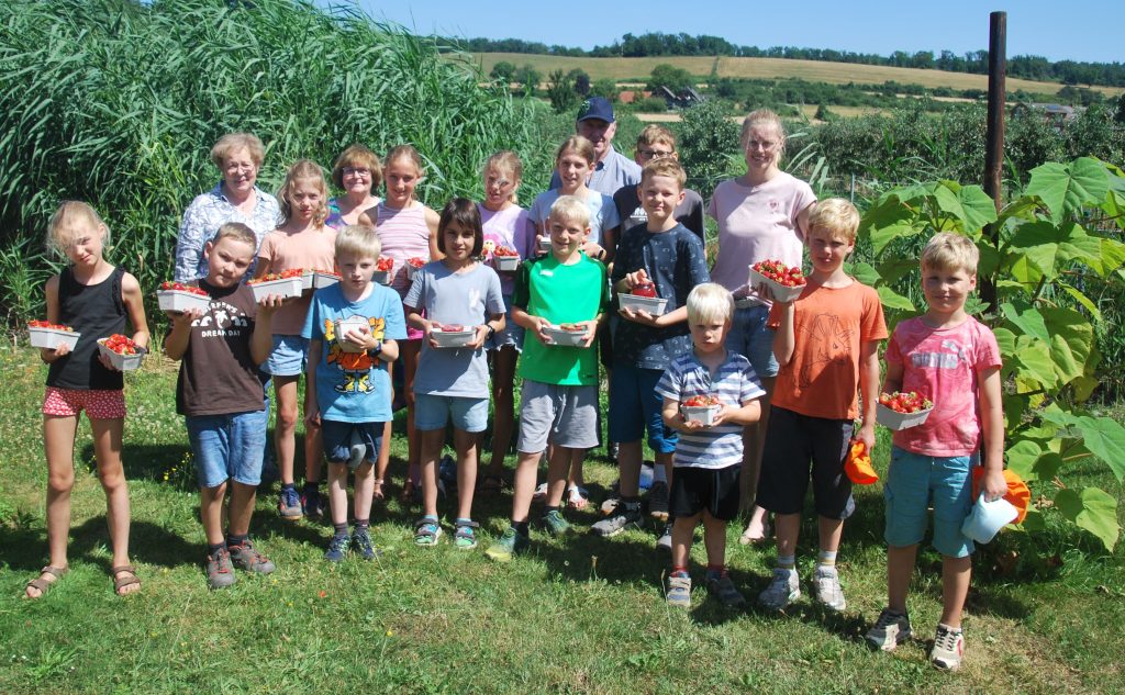 Eine Gruppe von Kindern und vier Erwachsenen steht im Freien vor hohen grünen Pflanzen. Die Kinder halten Behälter mit roten Erdbeeren in den Händen. Im Hintergrund sind Felder, Bäume und ein weiter Blick in die Landschaft zu sehen. Die Kleidung ist sommerlich, viele tragen kurze Hosen und T-Shirts. Die Szene vermittelt den Eindruck einer gemeinsamen Aktivität im Rahmen einer Kinderaktion.